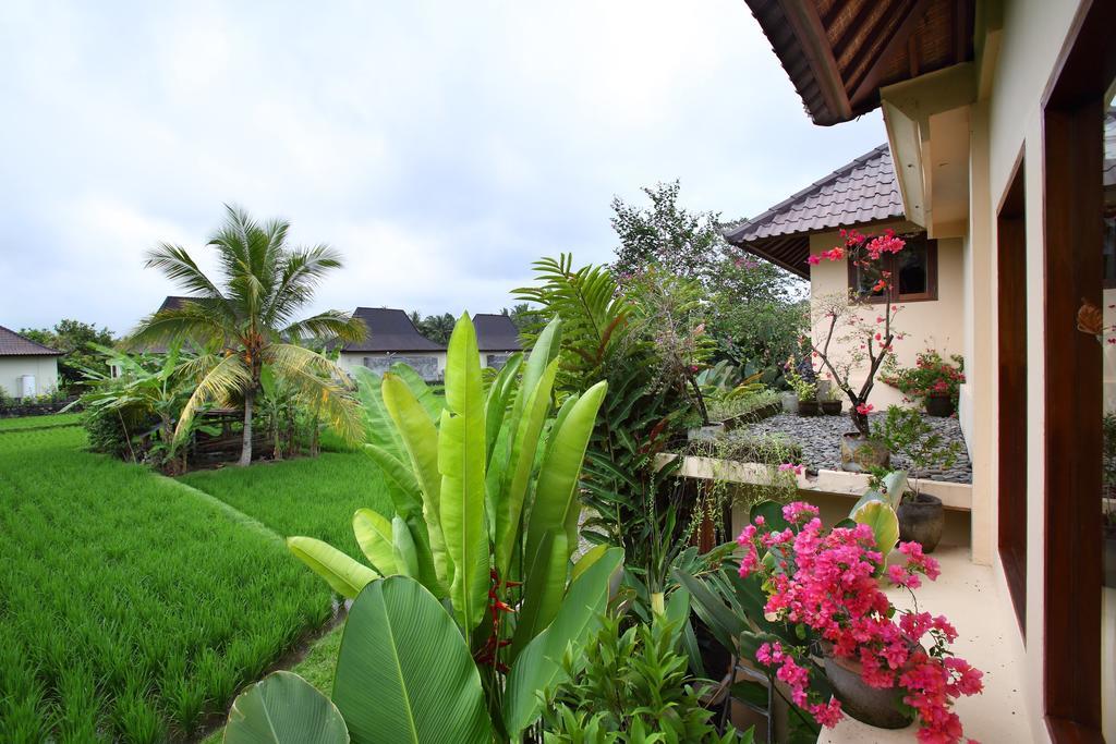 Satori Villas Bali Ubud  Exterior photo